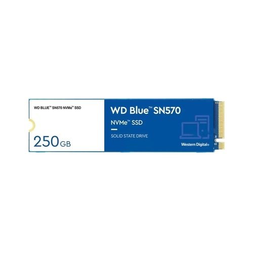 WD Blue SN550 1TB M.2 PCI Express 3.0 x4 NVMe SSD WDS100T2B0C